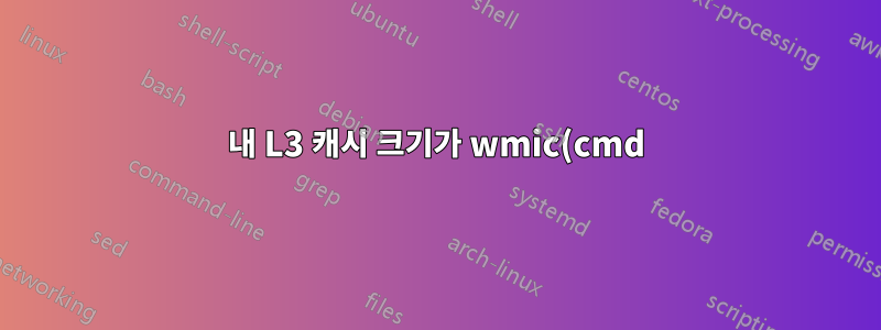 내 L3 캐시 크기가 wmic(cmd)에 0으로 표시됩니다.