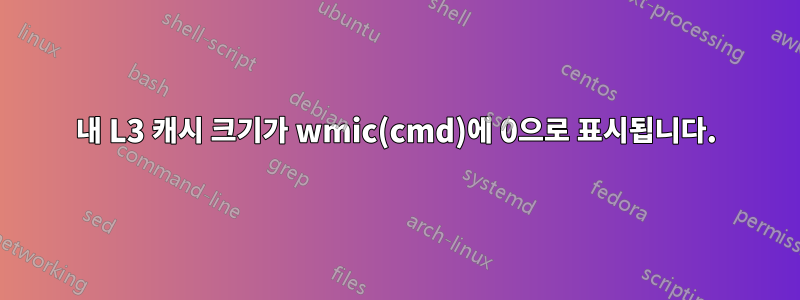 내 L3 캐시 크기가 wmic(cmd)에 0으로 표시됩니다.