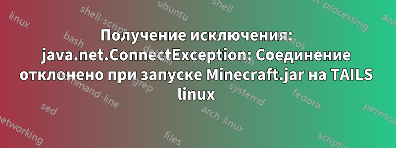 Получение исключения: java.net.ConnectException: Соединение отклонено при запуске Minecraft.jar на TAILS linux