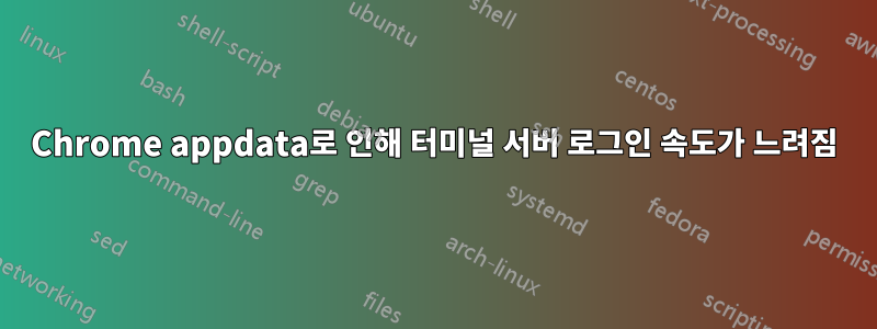 Chrome appdata로 인해 터미널 서버 로그인 속도가 느려짐