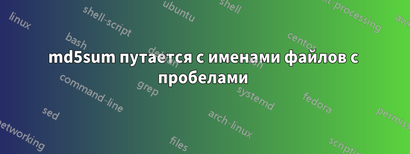 md5sum путается с именами файлов с пробелами