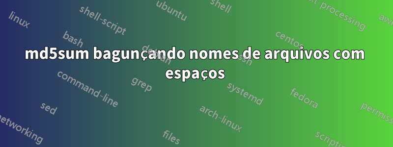 md5sum bagunçando nomes de arquivos com espaços