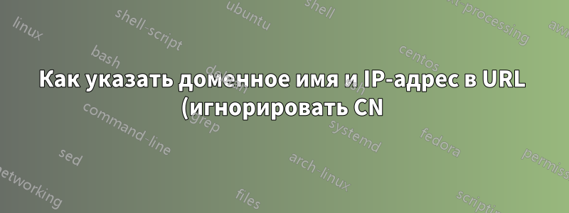 Как указать доменное имя и IP-адрес в URL (игнорировать CN)