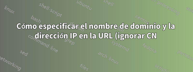 Cómo especificar el nombre de dominio y la dirección IP en la URL (ignorar CN)