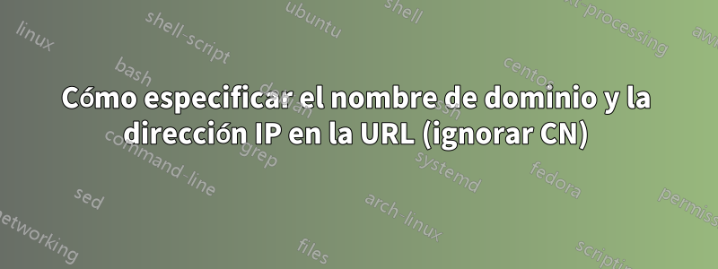 Cómo especificar el nombre de dominio y la dirección IP en la URL (ignorar CN)