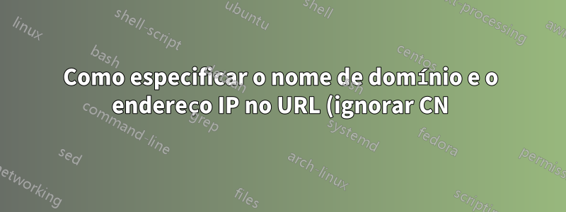 Como especificar o nome de domínio e o endereço IP no URL (ignorar CN)