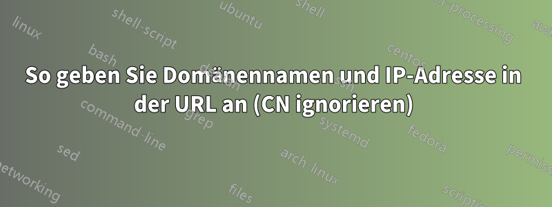 So geben Sie Domänennamen und IP-Adresse in der URL an (CN ignorieren)