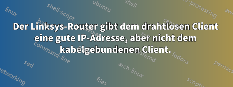 Der Linksys-Router gibt dem drahtlosen Client eine gute IP-Adresse, aber nicht dem kabelgebundenen Client.