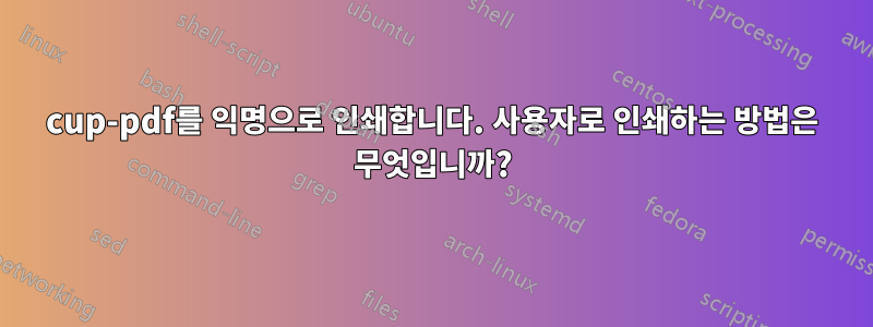 cup-pdf를 익명으로 인쇄합니다. 사용자로 인쇄하는 방법은 무엇입니까?