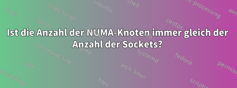 Ist die Anzahl der NUMA-Knoten immer gleich der Anzahl der Sockets?