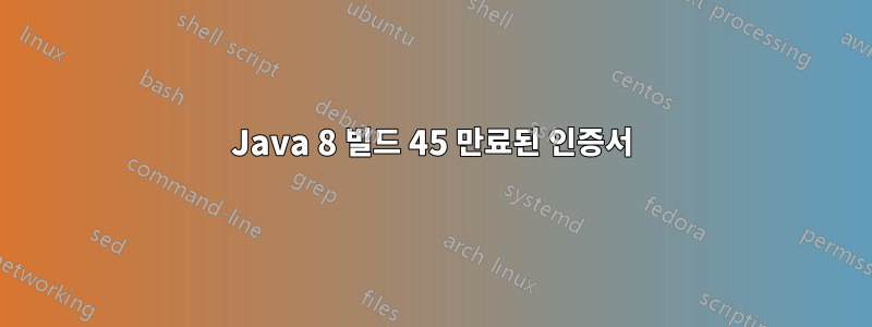 Java 8 빌드 45 만료된 인증서