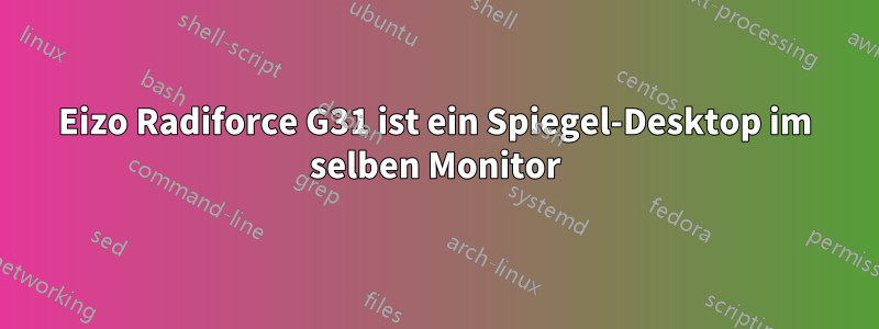 Eizo Radiforce G31 ist ein Spiegel-Desktop im selben Monitor