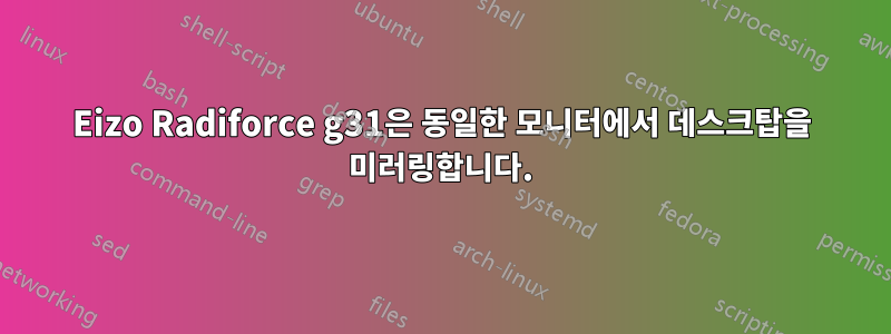 Eizo Radiforce g31은 동일한 모니터에서 데스크탑을 미러링합니다.