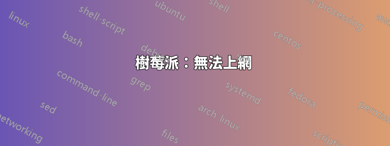 樹莓派：無法上網