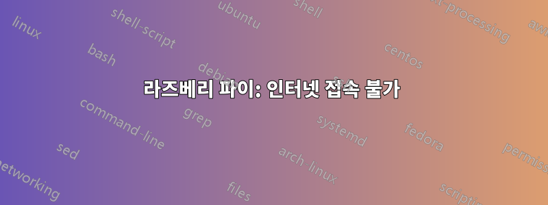 라즈베리 파이: 인터넷 접속 불가