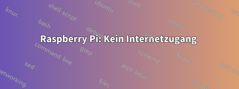 Raspberry Pi: Kein Internetzugang