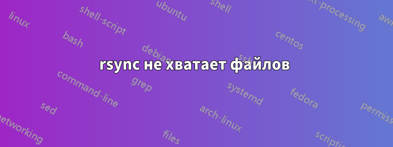 rsync не хватает файлов