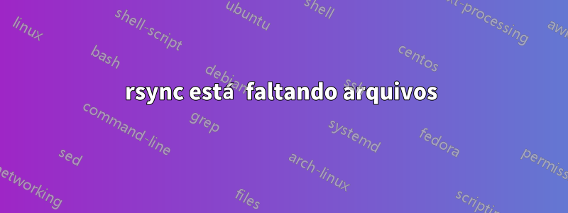 rsync está faltando arquivos