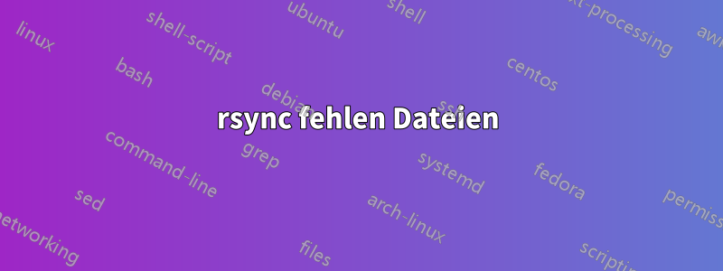 rsync fehlen Dateien