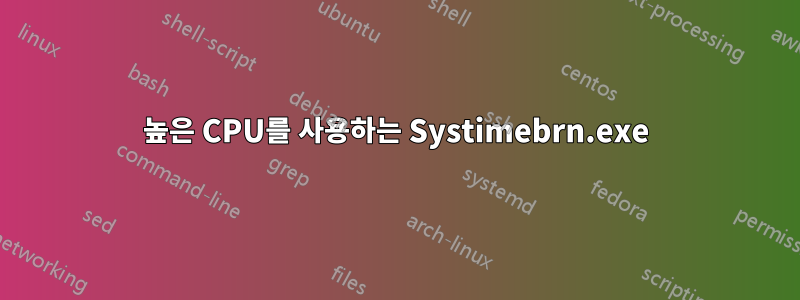 높은 CPU를 사용하는 Systimebrn.exe