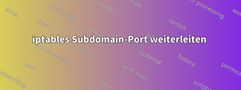 iptables Subdomain-Port weiterleiten