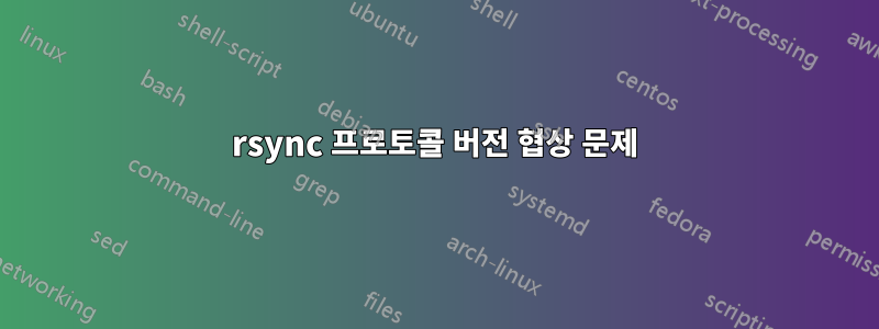 rsync 프로토콜 버전 협상 문제