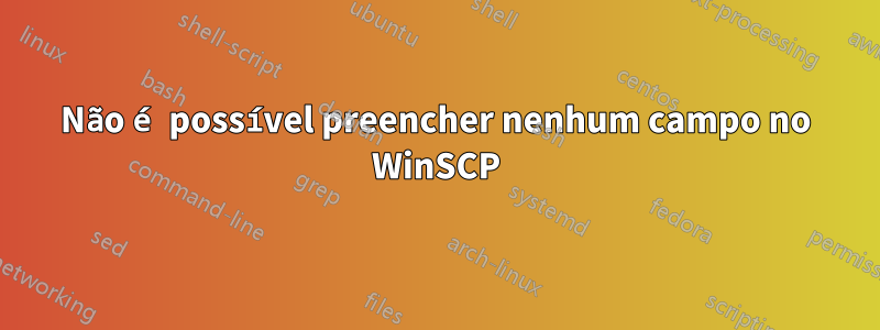 Não é possível preencher nenhum campo no WinSCP