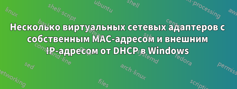 Несколько виртуальных сетевых адаптеров с собственным MAC-адресом и внешним IP-адресом от DHCP в Windows