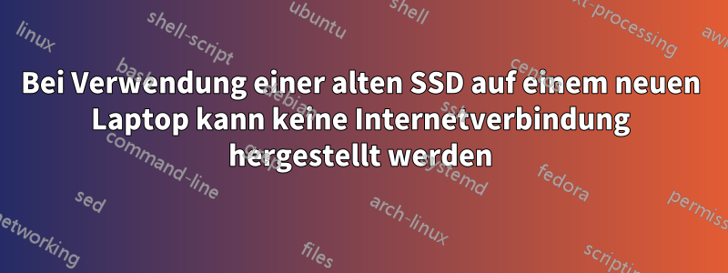 Bei Verwendung einer alten SSD auf einem neuen Laptop kann keine Internetverbindung hergestellt werden