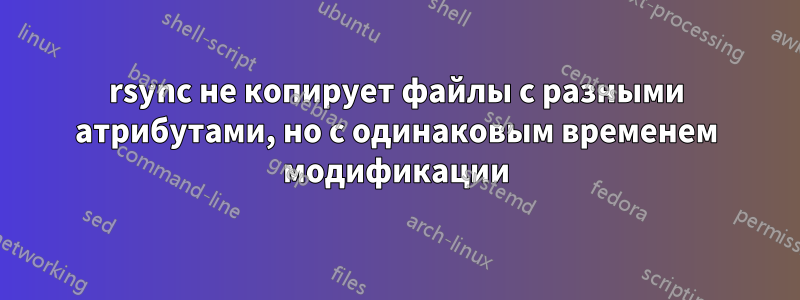 rsync не копирует файлы с разными атрибутами, но с одинаковым временем модификации