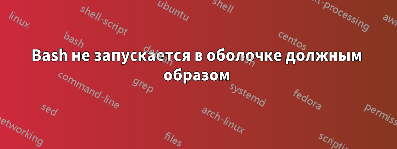 Bash не запускается в оболочке должным образом