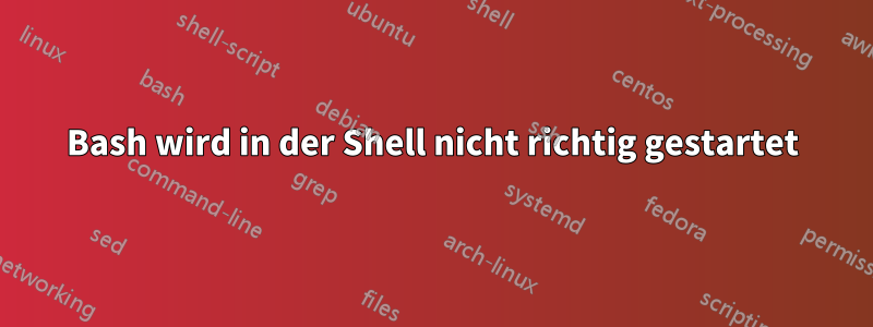 Bash wird in der Shell nicht richtig gestartet