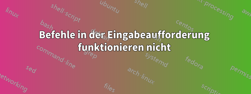 Befehle in der Eingabeaufforderung funktionieren nicht