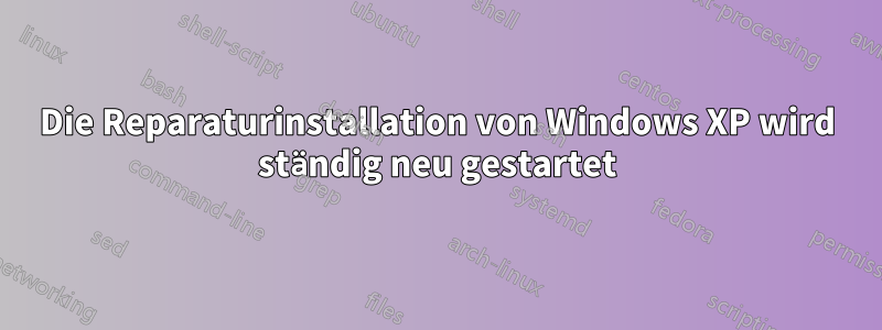 Die Reparaturinstallation von Windows XP wird ständig neu gestartet