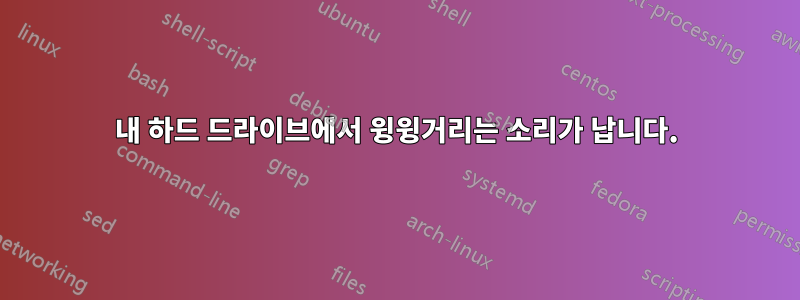 내 하드 드라이브에서 윙윙거리는 소리가 납니다.