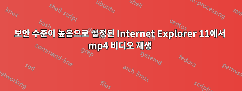 보안 수준이 높음으로 설정된 Internet Explorer 11에서 mp4 비디오 재생