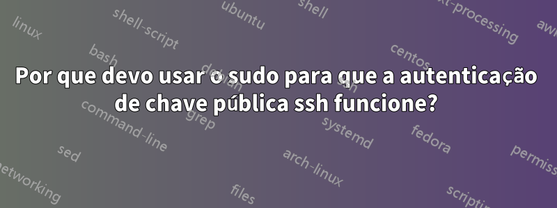 Por que devo usar o sudo para que a autenticação de chave pública ssh funcione?