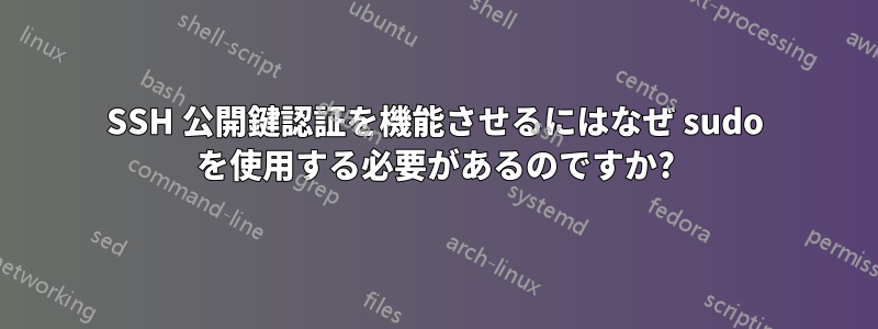 SSH 公開鍵認証を機能させるにはなぜ sudo を使用する必要があるのですか?