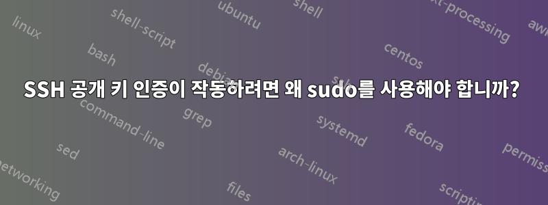 SSH 공개 키 인증이 작동하려면 왜 sudo를 사용해야 합니까?