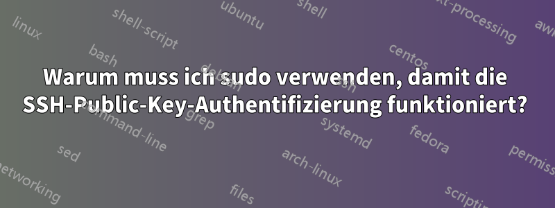 Warum muss ich sudo verwenden, damit die SSH-Public-Key-Authentifizierung funktioniert?