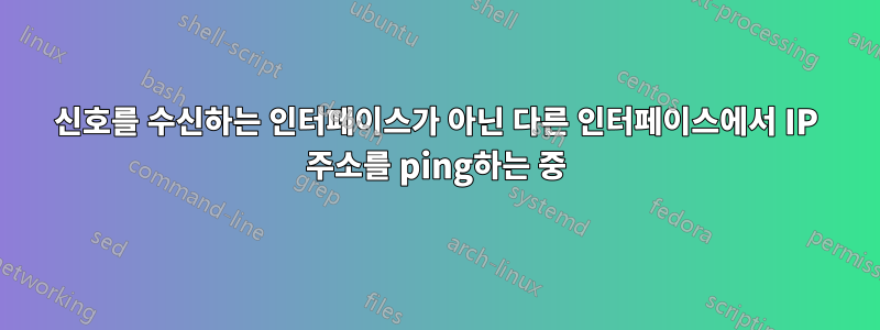 신호를 수신하는 인터페이스가 아닌 다른 인터페이스에서 IP 주소를 ping하는 중