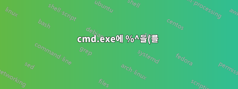 cmd.exe에 %^을(를) 입력하는 것이 Windows 이스터 에그인가요?