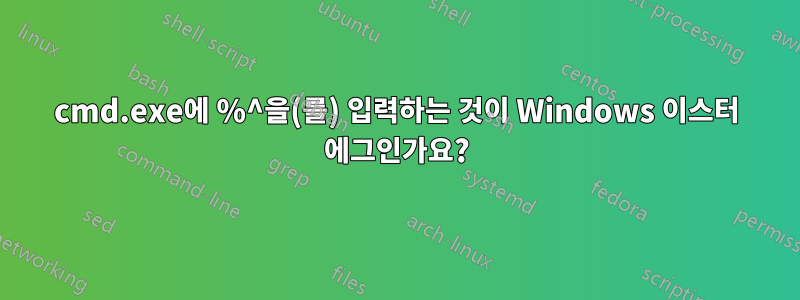 cmd.exe에 %^을(를) 입력하는 것이 Windows 이스터 에그인가요?