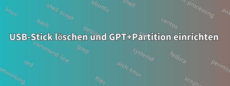 USB-Stick löschen und GPT+Partition einrichten