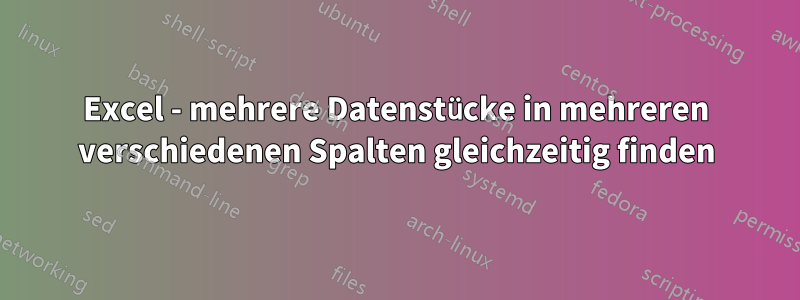 Excel - mehrere Datenstücke in mehreren verschiedenen Spalten gleichzeitig finden