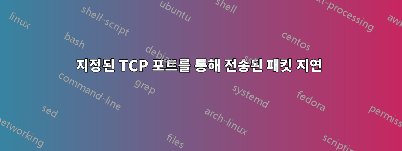 지정된 TCP 포트를 통해 전송된 패킷 지연