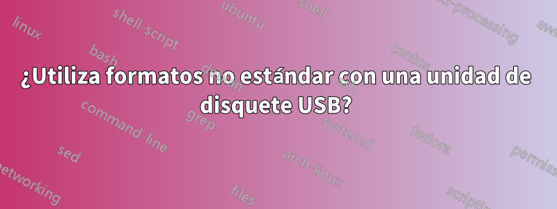 ¿Utiliza formatos no estándar con una unidad de disquete USB?