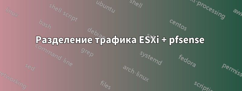 Разделение трафика ESXi + pfsense