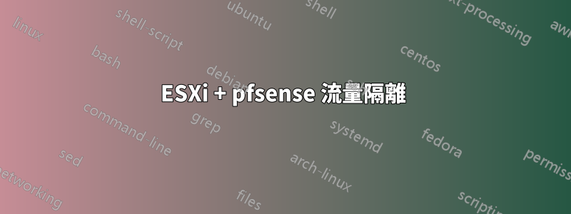 ESXi + pfsense 流量隔離