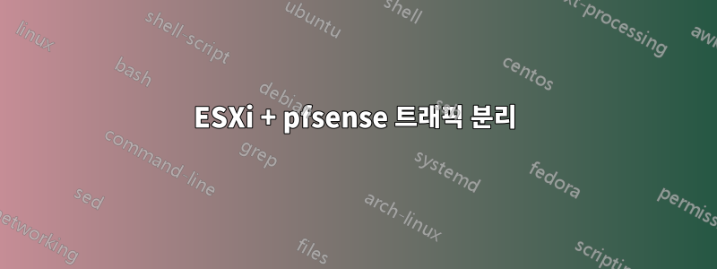 ESXi + pfsense 트래픽 분리